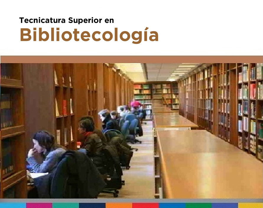 bibliotecologia2